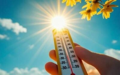 المقالة الثامنة – الحرارة وانفعال الأجسام بها