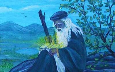 المقالة السابعة