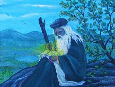 المقالة السابعة