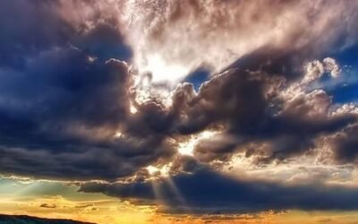  المقالة السادسة