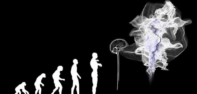 المقالة التاسعة-النشوء الارتقاء